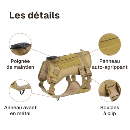 Les détails du harnais 3 points tactique : poignée de maintien, panneau auto-agrippant, boucles à clip, anneau avant en métal