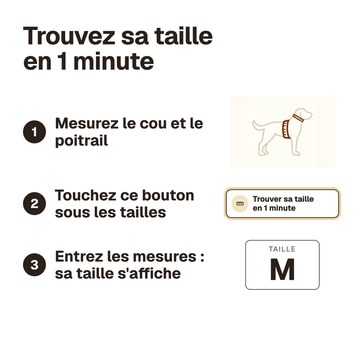 Trouvez sa taille en 1 minute : mesurez le chien, touchez le bouton sous les tailles, entrez les mesures et sa taille s'affiche