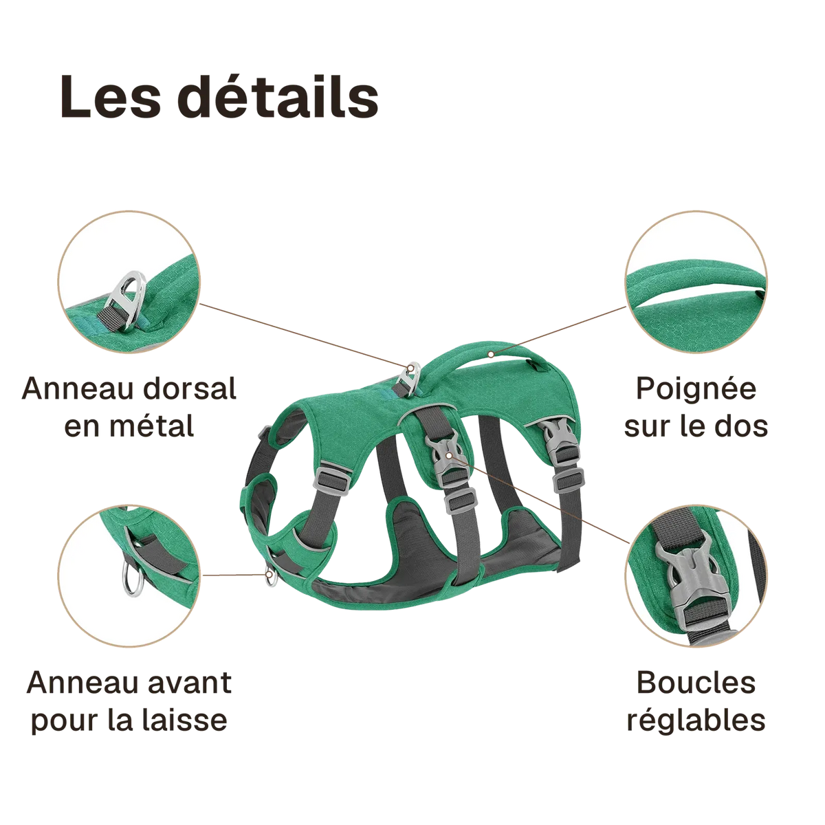 Les détails du harnais 3 points veste