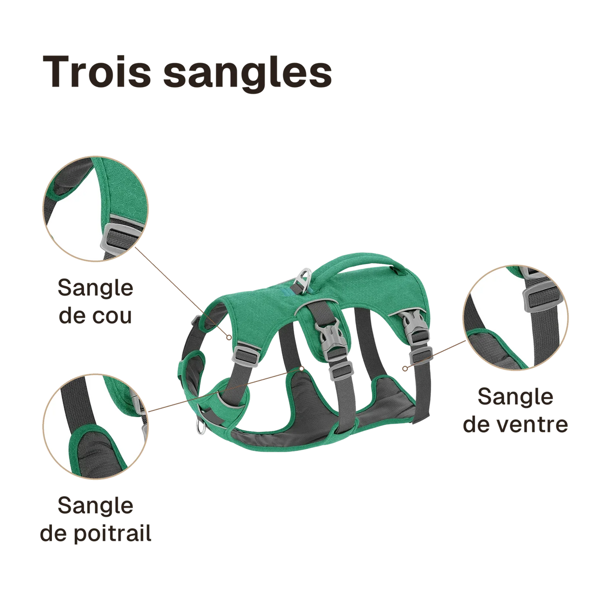 Harnais 3 points veste : sangles de cou, de poitrail et de ventre