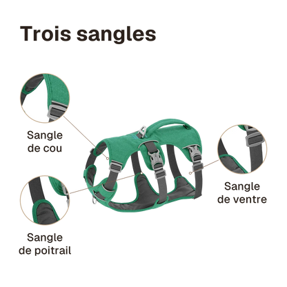 Harnais 3 points veste : sangles de cou, de poitrail et de ventre