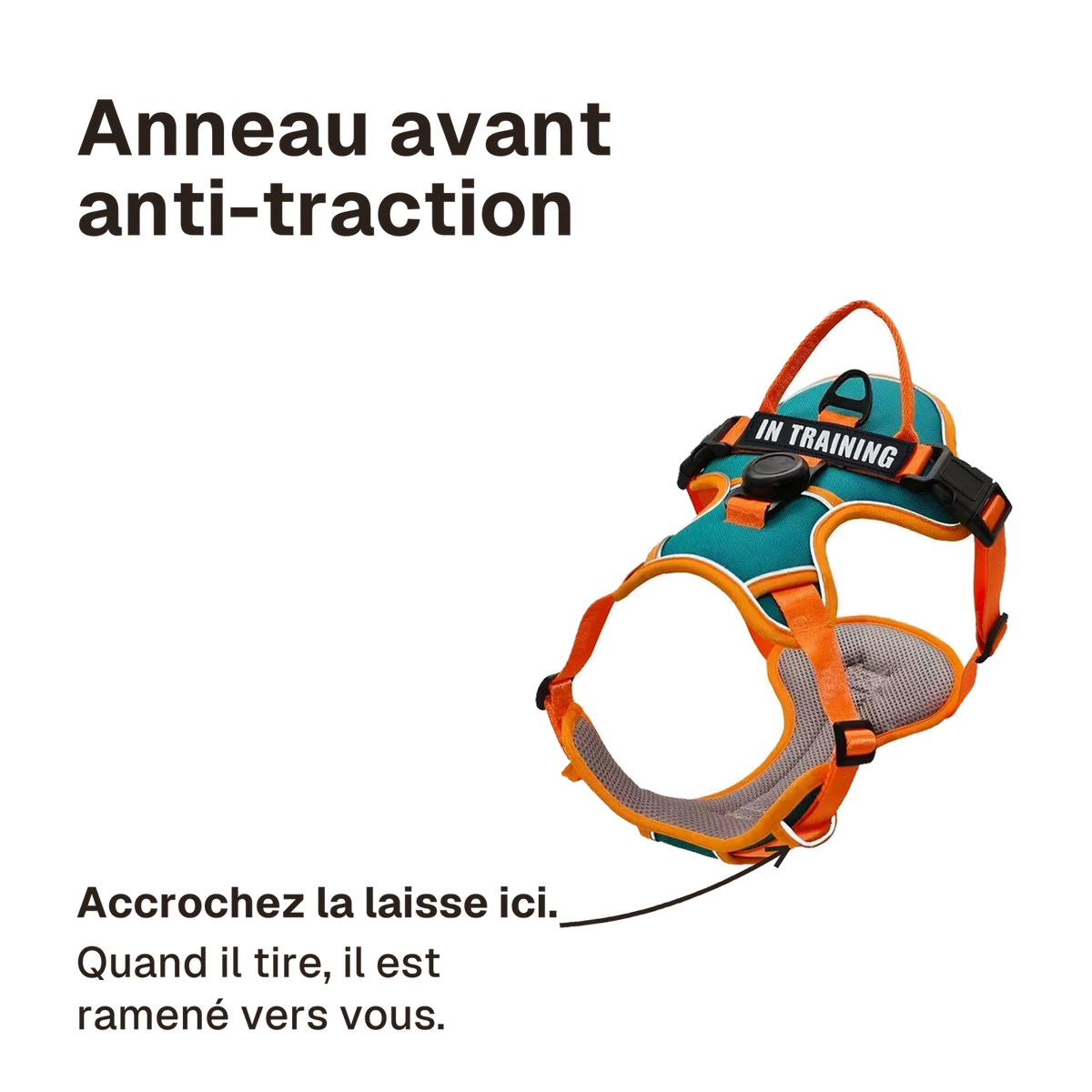 Harnais Actif Respirant : accrochez la laisse à l'anneau avant, quand il tire le chien est ramené vers vous