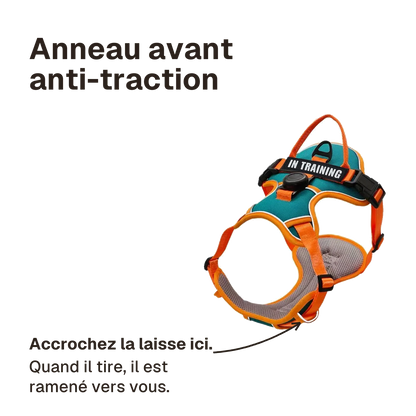Harnais Actif Respirant : accrochez la laisse à l'anneau avant, quand il tire le chien est ramené vers vous