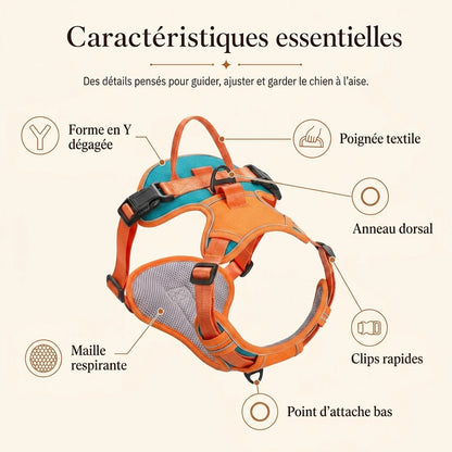 Harnais Chien Actif Respirant - caracteristiques essentielles