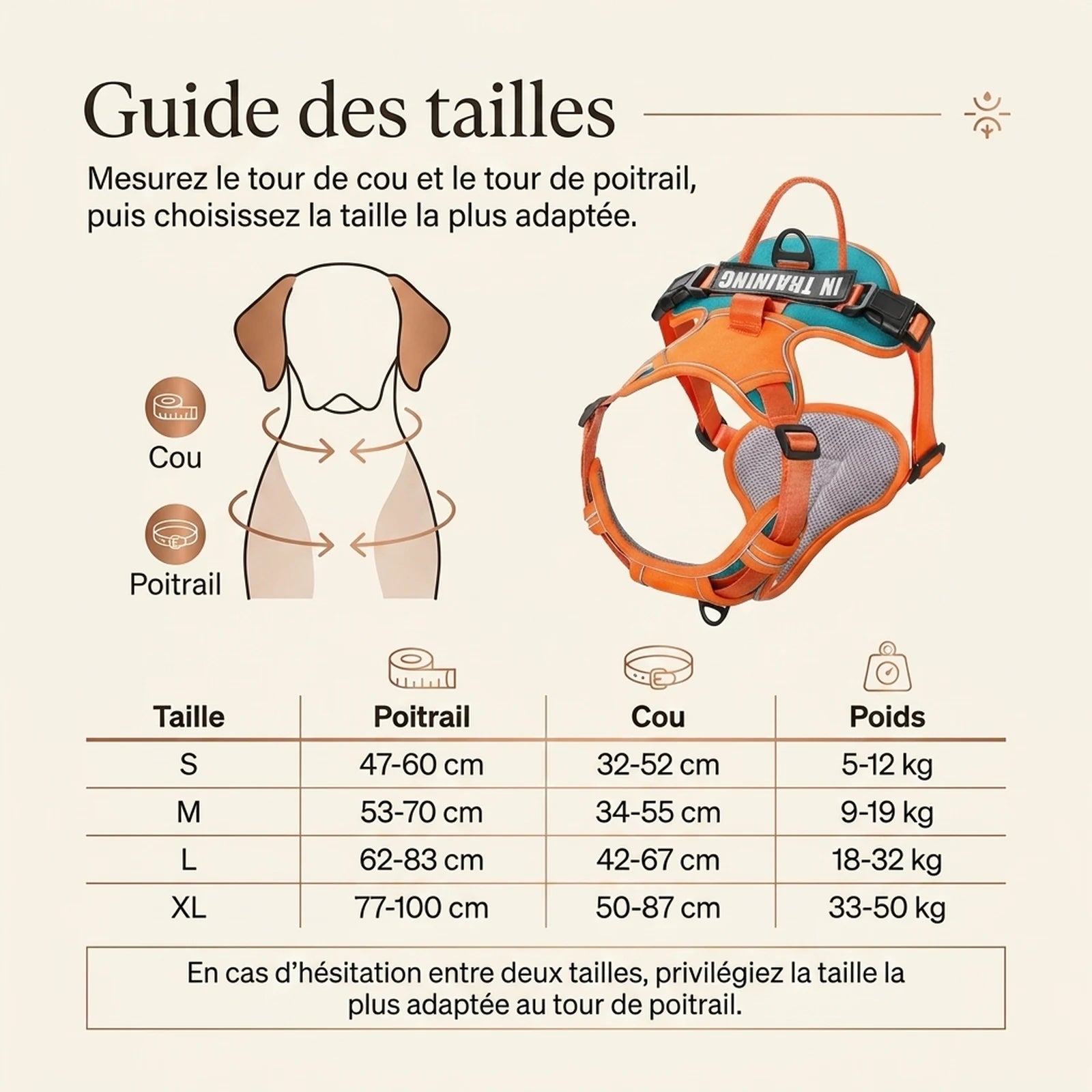 Harnais Chien Actif Respirant - guide des tailles