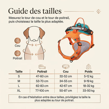Harnais Chien Actif Respirant - guide des tailles