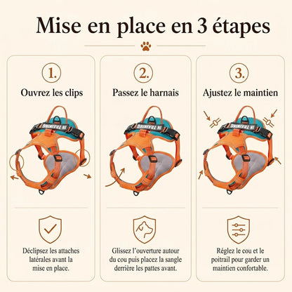 Harnais Chien Actif Respirant - mise en place 3 etapes