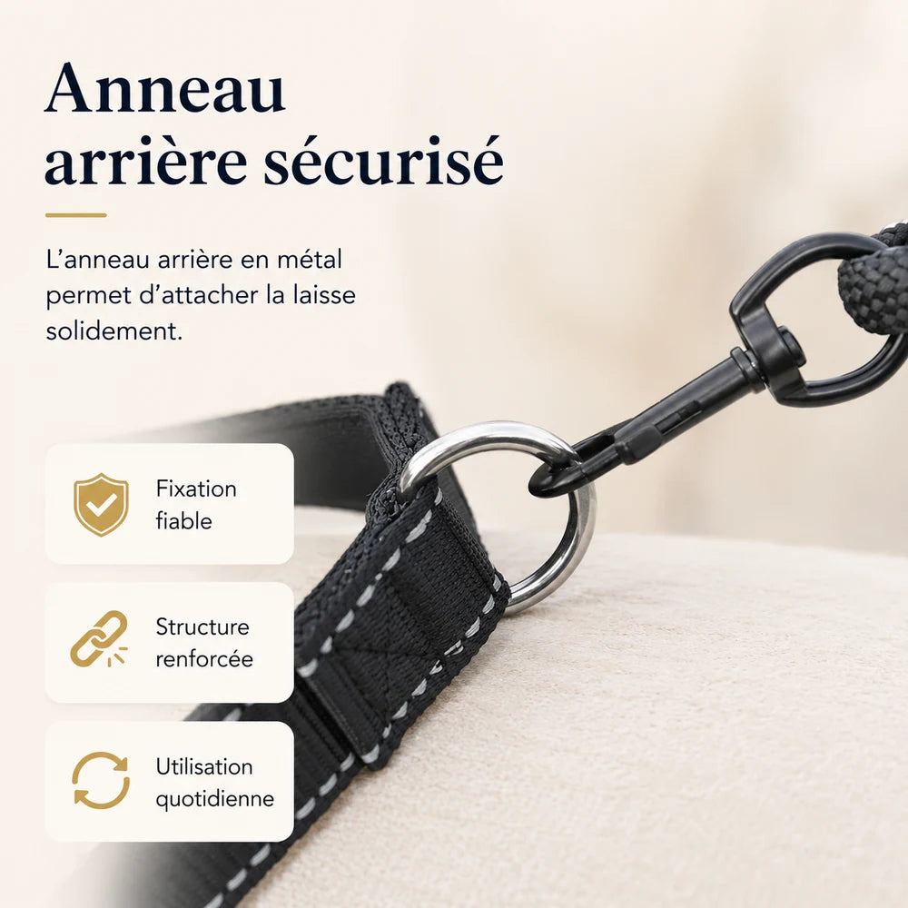 harnais-chien-anneau-arriere-securise