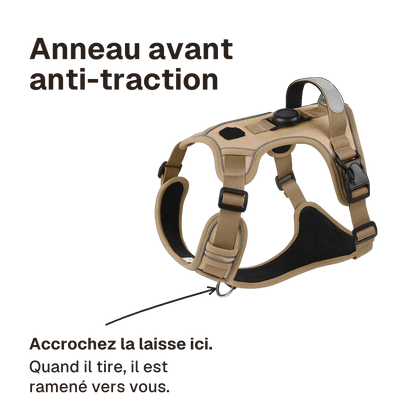 Harnais Chien Anti Traction avec Support AirTag : accrochez la laisse à l'anneau avant, le chien est ramené vers vous