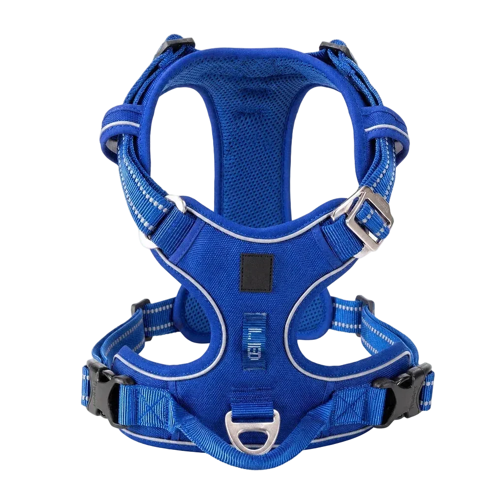 Harnais chien anti-traction ergonomique, coloris bleu, vue produit