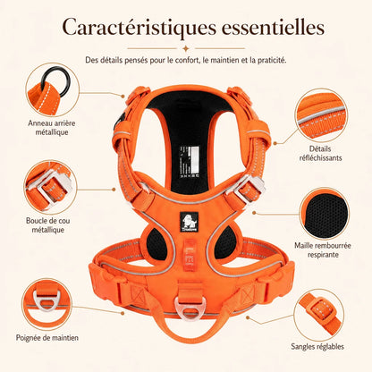 Harnais chien anti traction ergonomique - caracteristiques essentielles