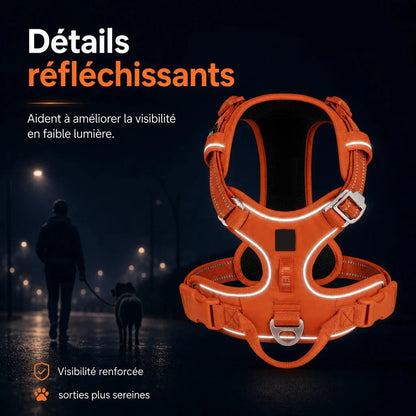 Détails réfléchissants du harnais chien anti traction ergonomique, visibles la nuit