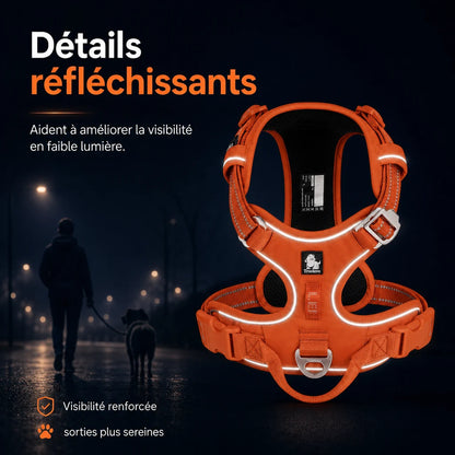 Harnais chien anti traction ergonomique - details reflechissants