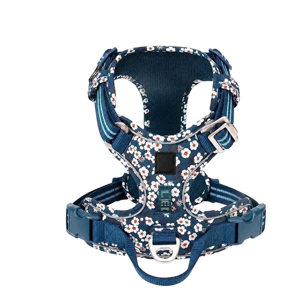 Harnais chien anti-traction ergonomique, coloris floral bleu 2, vue produit