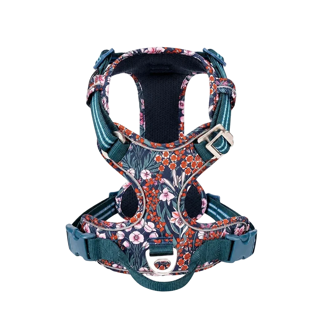 Harnais chien anti-traction ergonomique, coloris floral bleu, vue produit