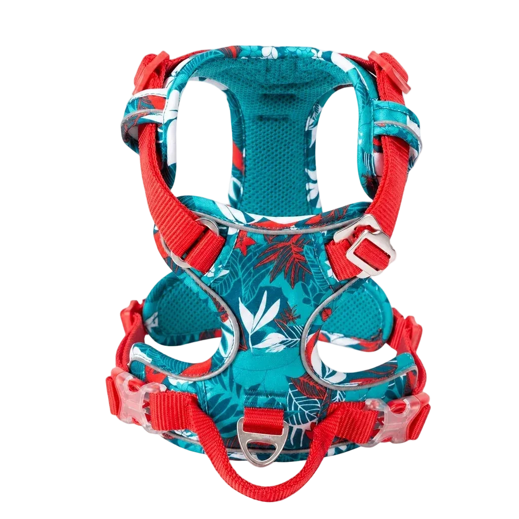 Harnais chien anti-traction ergonomique, coloris floral turquoise, vue produit