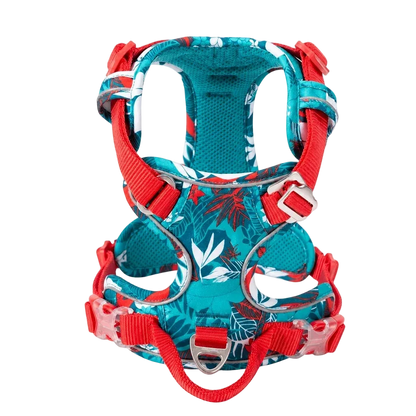 Harnais chien anti-traction ergonomique, coloris floral turquoise, vue produit