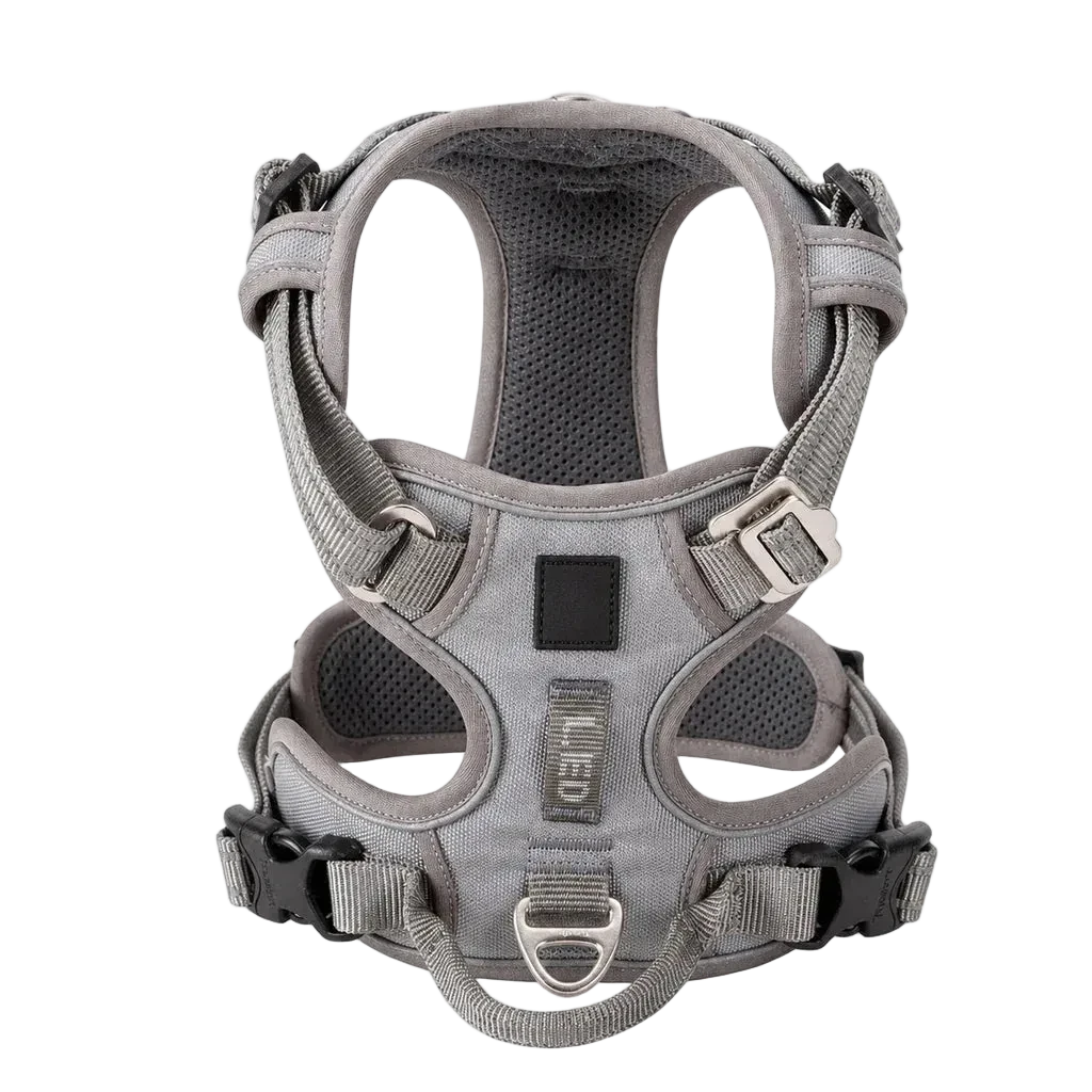 Harnais chien anti-traction ergonomique, coloris gris, vue produit