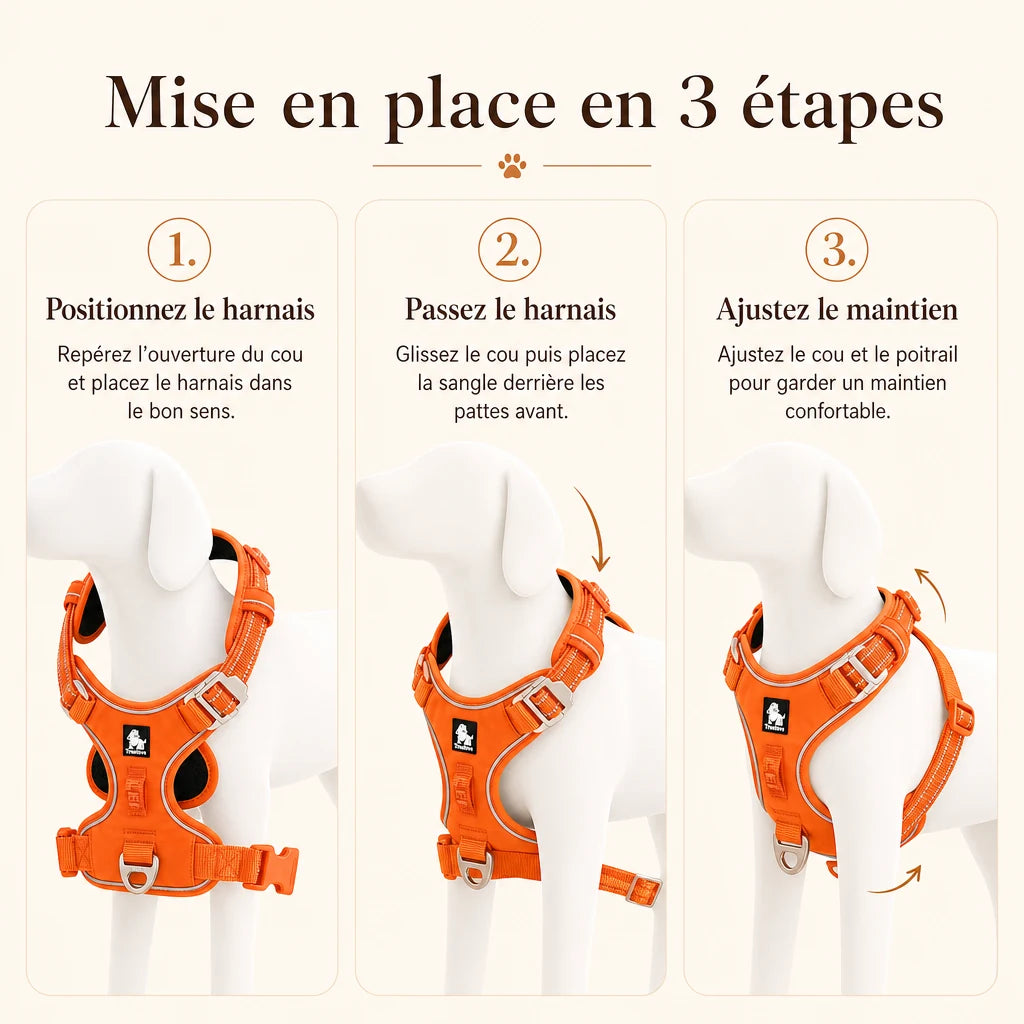 Harnais chien anti traction ergonomique - mise en place en 3 etapes