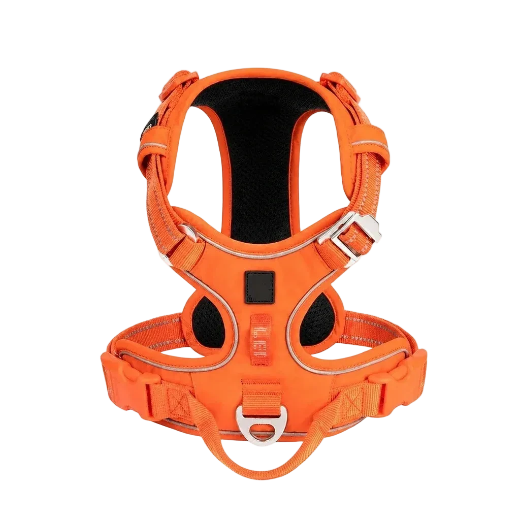 Harnais chien anti-traction ergonomique, coloris orange Cordura, vue produit