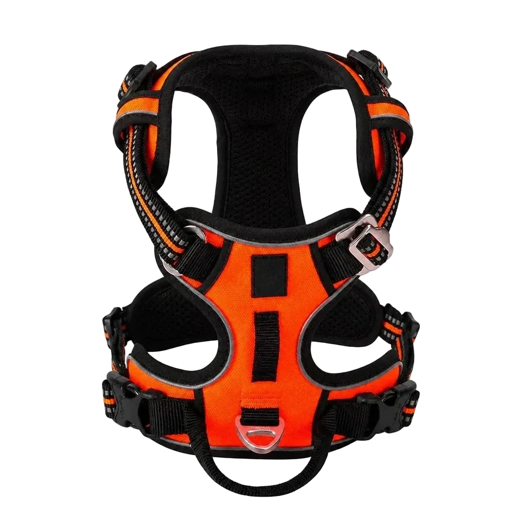 Harnais chien anti-traction ergonomique, coloris orange, vue produit