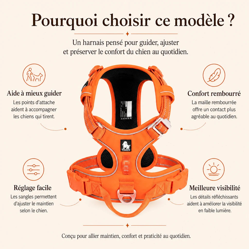 Harnais chien anti traction ergonomique - pourquoi choisir ce modele