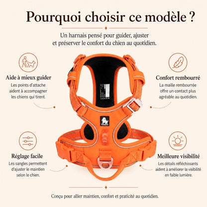 Harnais chien anti traction ergonomique - pourquoi choisir ce modele