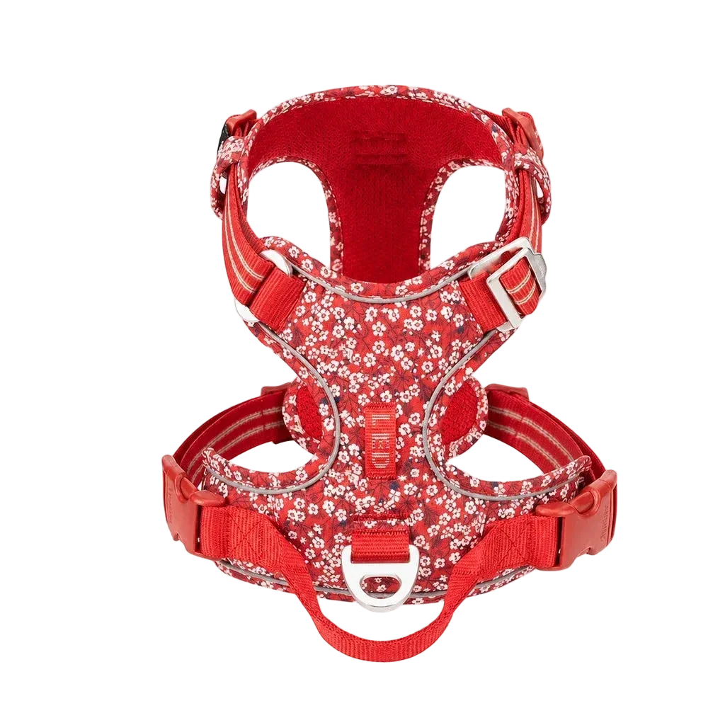 Harnais chien anti-traction ergonomique, coloris rouge floral, vue produit