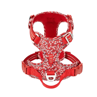 Harnais chien anti-traction ergonomique, coloris rouge floral, vue produit