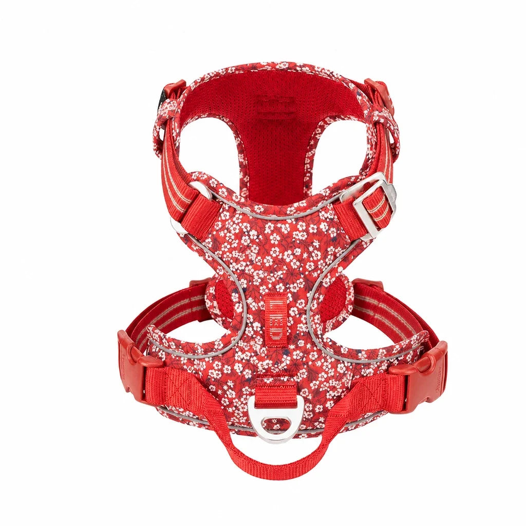Harnais Chien Anti Traction Ergonomique