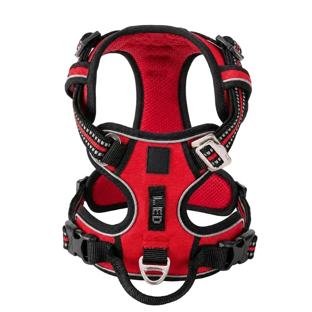 Harnais chien anti-traction ergonomique, coloris rouge, vue produit