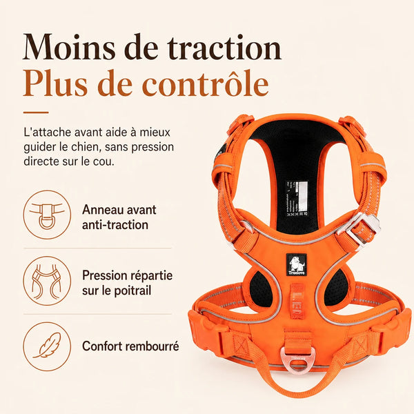 Harnais chien anti traction ergonomique - moins de traction plus de controle