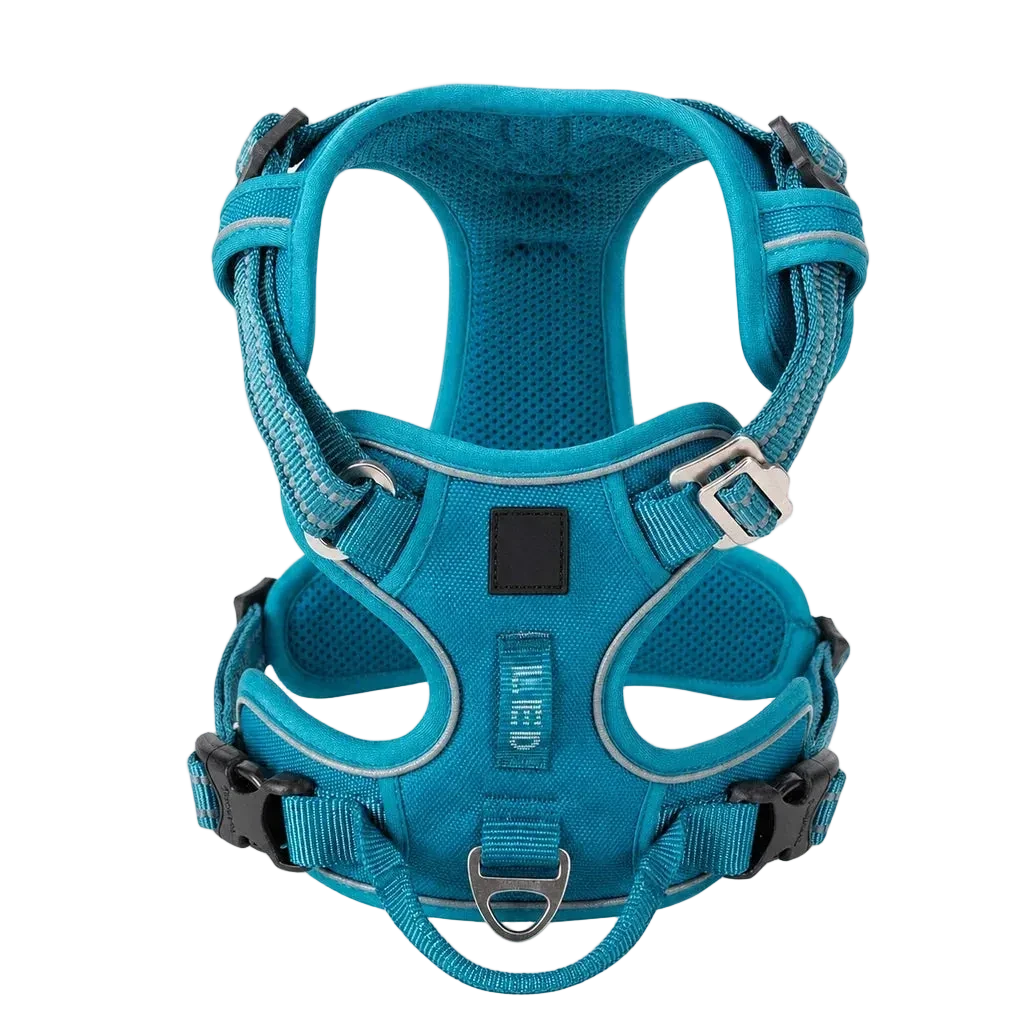 Harnais chien anti-traction ergonomique, coloris turquoise, vue produit