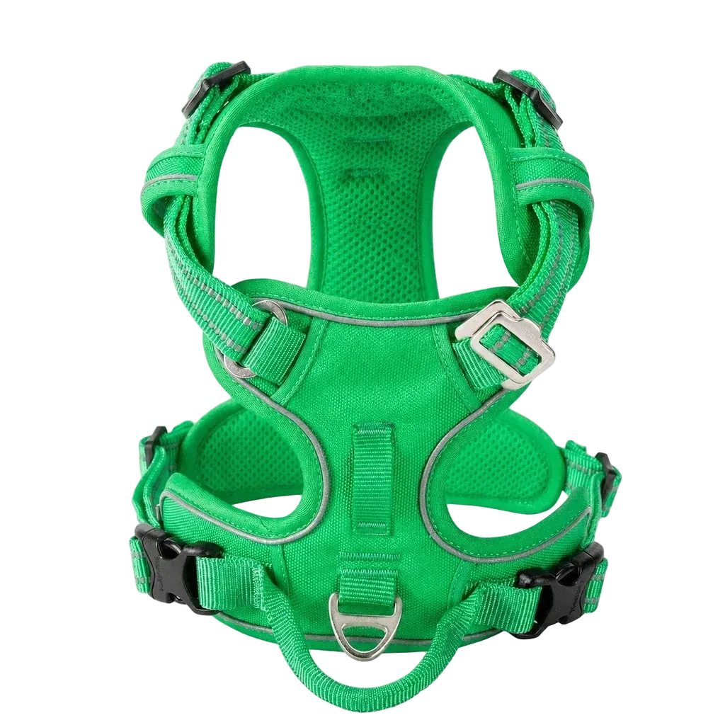 Harnais chien anti-traction ergonomique, coloris vert, vue produit