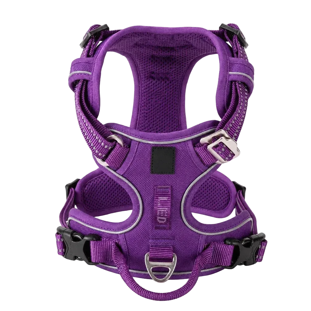 Harnais chien anti-traction ergonomique, coloris violet, vue produit