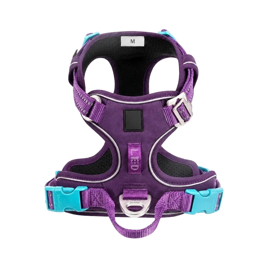Harnais chien anti-traction ergonomique, coloris violet turquoise Cordura, vue produit