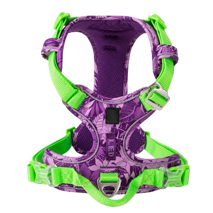 Harnais chien anti-traction ergonomique, coloris violet vert, vue produit