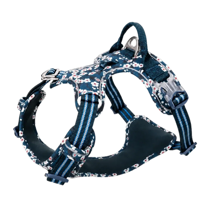 Harnais chien anti traction floral bleu sans marque