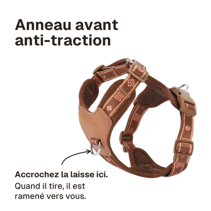 Harnais Chien Anti Traction Léger : accrochez la laisse à l'anneau avant, le chien est ramené vers vous