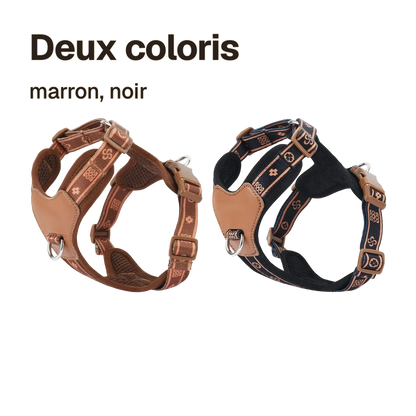 Les coloris du harnais chien anti traction léger