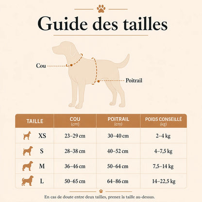 harnais-chien-anti-traction-leger-guide-tailles
