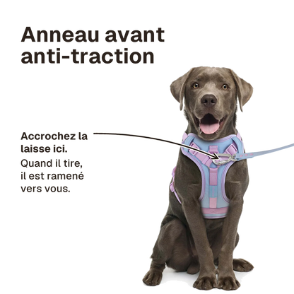 Harnais Chien Anti Traction Original : accrochez la laisse à l'anneau avant, le chien est ramené vers vous
