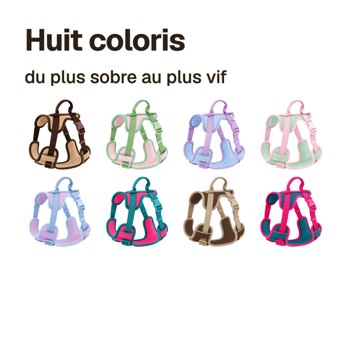 Les coloris du harnais chien anti traction original