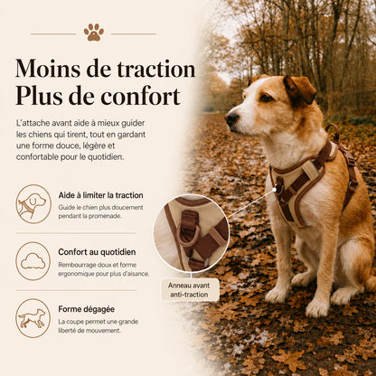 Harnais Chien Anti Traction Original