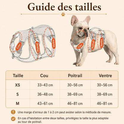 Harnais Chien Anti Traction Promenade