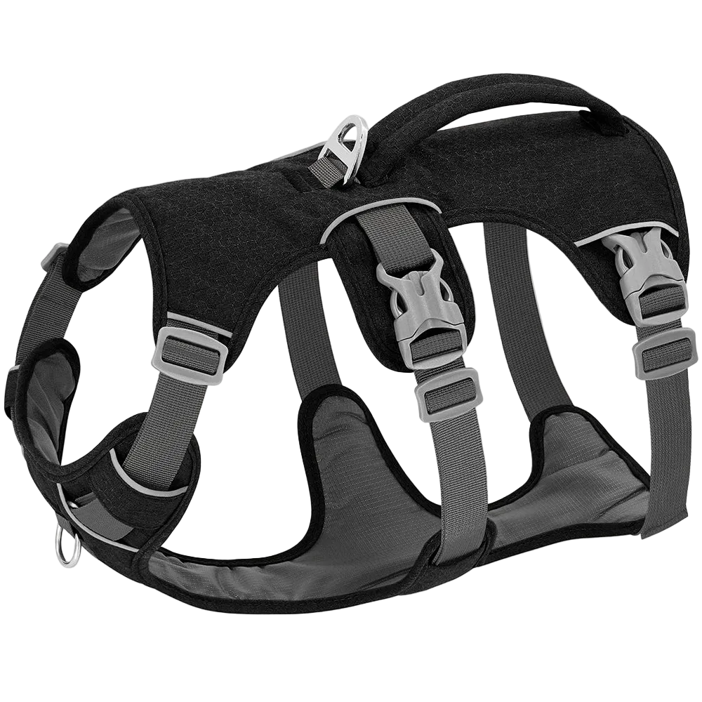 Harnais Chien Anti Traction Promenade
