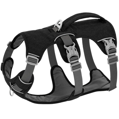 Harnais Chien Anti Traction Promenade