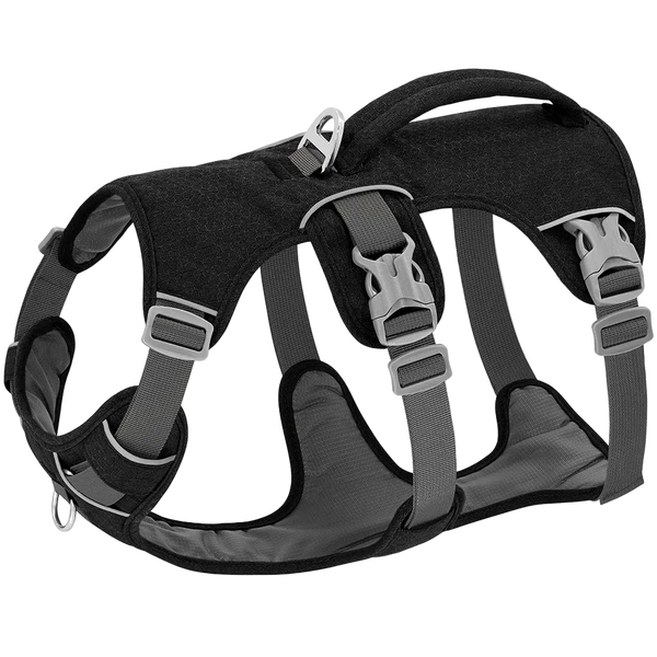 Harnais Chien Anti Traction Promenade