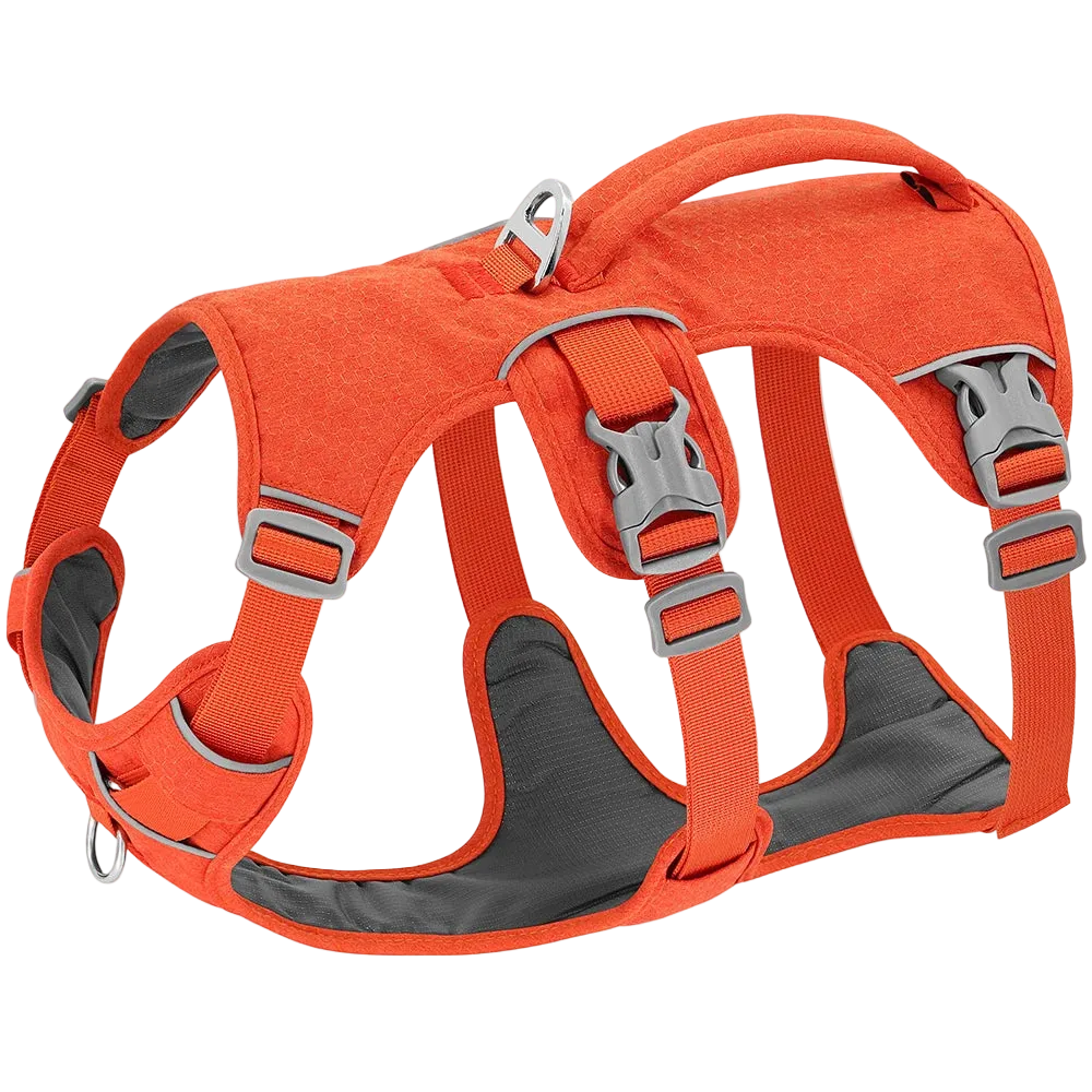 Harnais Chien Anti Traction Promenade
