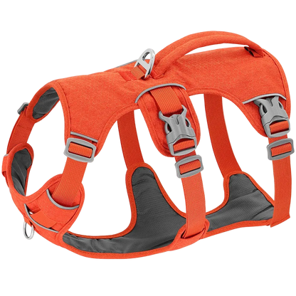 Harnais Chien Anti Traction Promenade